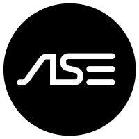 ASE (Analysis Simulation Engineering) AG logo - Similar company to B-Data Gmbh