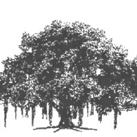 RCTS, IIIT-Hyderabad logo - Similar company to Perception Engineering Group, Iiit Hyderabad