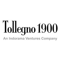 Tollegno 1900 - An Indorama Ventures Company logo - Similar company to Marchi & Fildi Group
