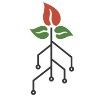 FireTree Digital logo - Similar company to Xylo