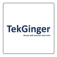 TekGinger logo - Similar company to Natalabs