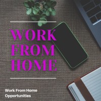 Work From Home Opportunities for freshers and experienced logo - Similar company to Work From Home Gigs With Al Pye