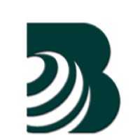 Bonshoe International Co., Ltd logo - Similar company to Conda Group