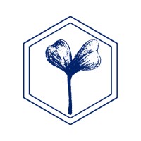 Creative Konsulting Exchange logo - Similar company to Pulse Direct