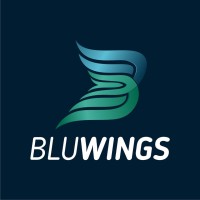 Blu Wings Marketing