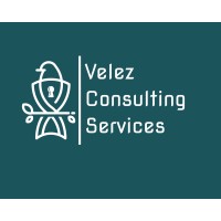 Velez Consulting Services logo - Similar company to Glen Eagle Advisors, Llc