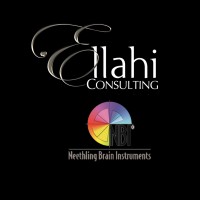 Ellahi Consulting logo - Similar company to Sme Support Partners