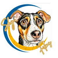 shyfilms.in logo - Similar company to Jaadugar Films