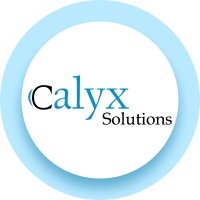Calyx Solutions UK Ltd logo - Similar company to Hexalytics