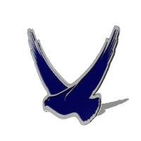 Soar Environmental Consulting, Inc. logo - Similar company to Surf To Snow Environmental Resource Management, Llc. (S2S), A Verdantas Company