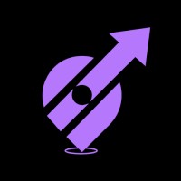 Nano Pulse Digital logo - Similar company to Sympler.Ai