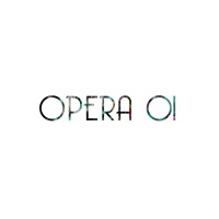 OPERA 01 - Italian Brand logo - Similar company to Raudo