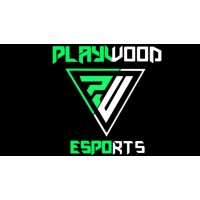 PLAYWOOD ESPORTS logo - Similar company to Op Officials