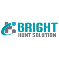 Bright Hunt Solution logo - Similar company to Ads Solutions