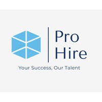 Pro Hire Staffing logo - Similar company to Adore It