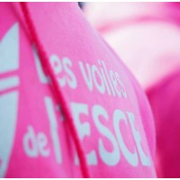 Les Voiles De L'Esce