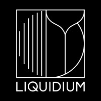 Liquidium logo - Similar company to Datastream Iot