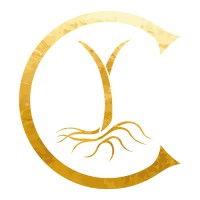 Cabinet Castel - Gestion patrimoine, Conseil et Stratégie logo - Similar company to Sodatec