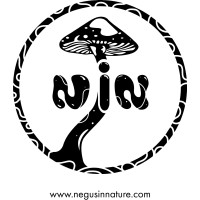 Negus in Nature logo - Similar company to Great Work Media