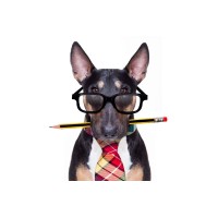 Contractor Advice UK logo - Similar company to Contractor Ai