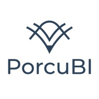 PorcuBI logo - Similar company to Visionbi