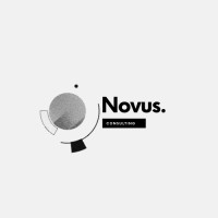 Novus Consulting Inc