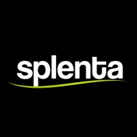 Splenta Systems logo - Similar company to Vizzhy