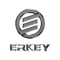 Erkey Motors India Pvt. Ltd logo - Similar company to Verdemobility