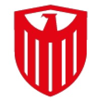 Falcon Savunma logo - Similar company to Fdi Group