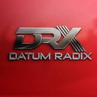 Datum Radix Private Limited logo - Similar company to Intelliopus Private Limited