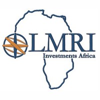 LMRI Investments Africa logo - Similar company to Luso Advisors, Llc