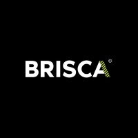 Brisca NZ logo - Similar company to Premium Accounting Solution Services Inc.