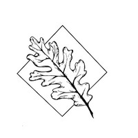 Suunnittelupalvelu Tammi Oy logo - Similar company to Forest Key - Metsäavain