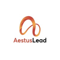 Aestus Lead logo - Similar company to Lead Define Media