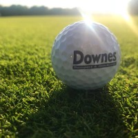 Downes Transport Ltd logo - Similar company to Toplogic As Norge | Freight & Logistics Consultant