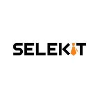 SelekIT logo - Similar company to Occess