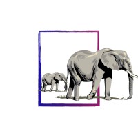 ZAM logo - Similar company to Tracku