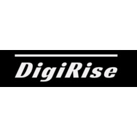 DigiRise logo - Similar company to Digilearning