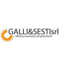 Galli & Sesti Srl logo - Similar company to Galli E Morelli S.R.L.