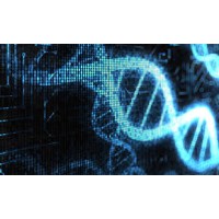 New York Life Sciences Round Table logo - Similar company to Nyc Bio