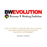 BW EVOLUTION logo - Similar company to Team'Alto