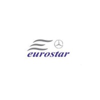 EUROSTAR AUTO SPARE PARTS TRDG CO logo - Similar company to Mmf Industrial Solutions