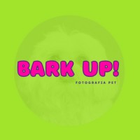 Bark Up! Fotografia Pet logo - Similar company to Lupitalab