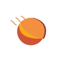 La Route du Feu logo - Similar company to Préhistomuseum