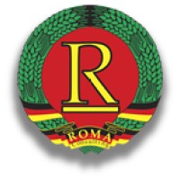 Roma Consulting Ltda logo - Similar company to Precision Innovations Inc
