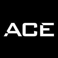 ACE - Align. Conquer. Elevate logo - Similar company to Humanise Solutions