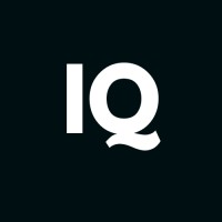 DatasightIQ logo - Similar company to Ufunded.Com