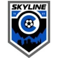Skyline Soccer Association logo - Similar company to Fdb Soccer