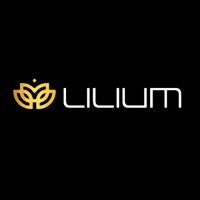 Lilium Software Solutions logo - Similar company to Lucy Platforms