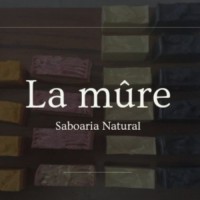 La mûre Saboaria Natural logo - Similar company to Sol Saboaria